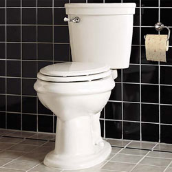 Bath Accessories And Bidets - American Standard Toilet